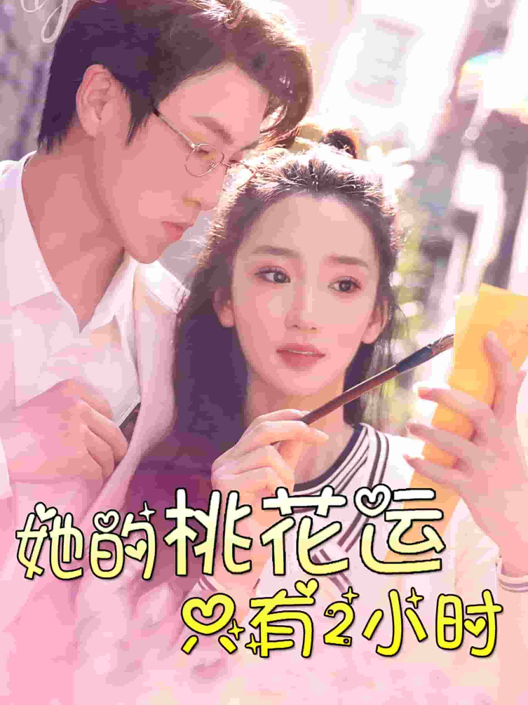 她的桃花运只有2小时海报