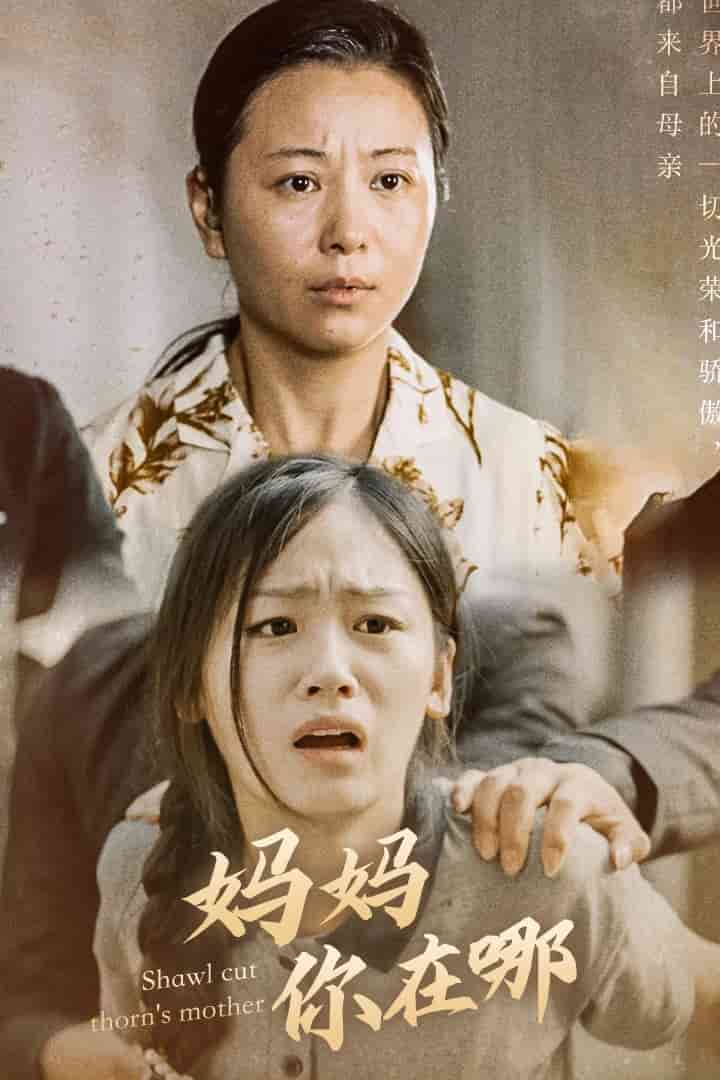 妈妈你在哪海报