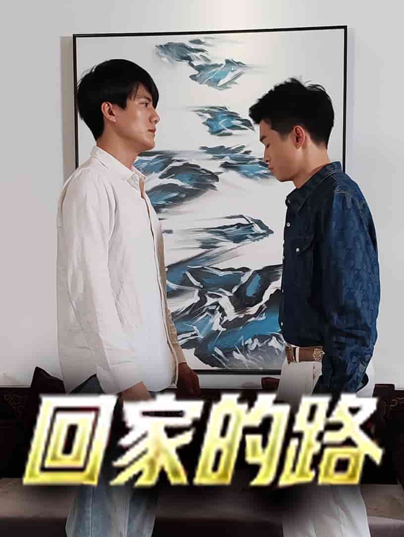 回家的路短剧海报