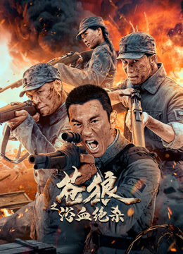 苍狼之浴血绝杀海报