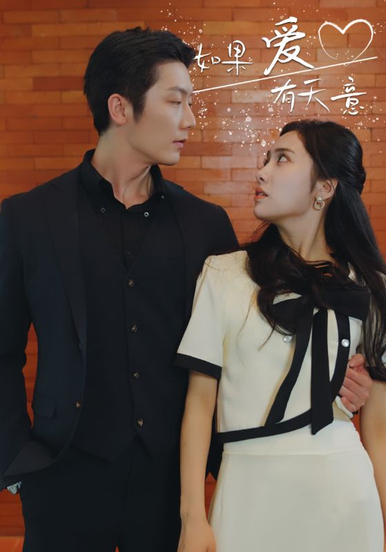 如果爱有天意海报