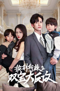 披荆斩棘之双宝大反攻海报