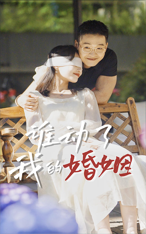 谁动了我的婚姻海报