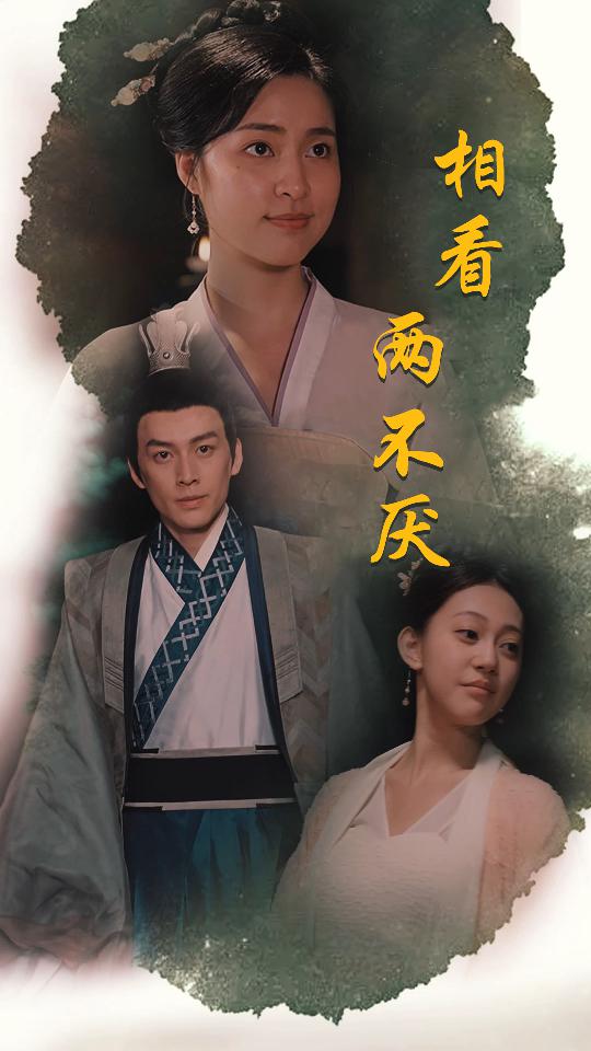 相看两不厌海报