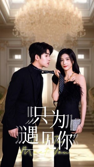 只为遇见你短剧海报