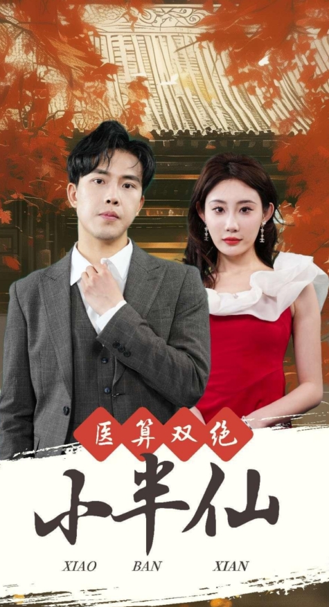 医算双绝小半仙海报