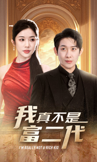 我真不是富二代海报