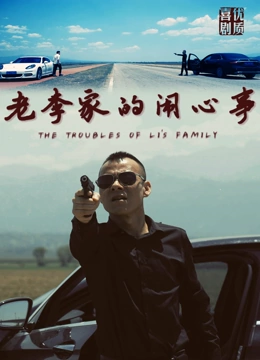 老李家的闹心事海报