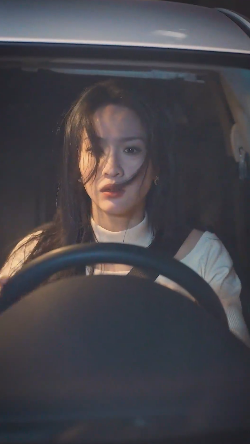 傅总您的金丝雀变凤凰了海报