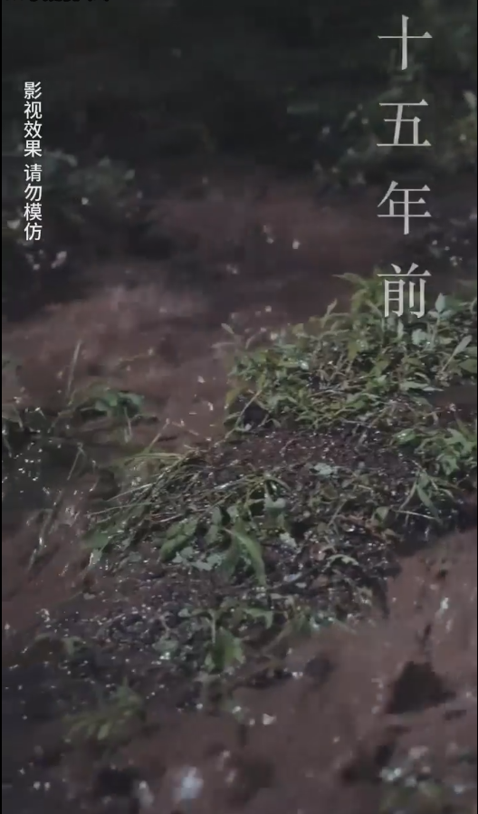 云深见朝阳海报