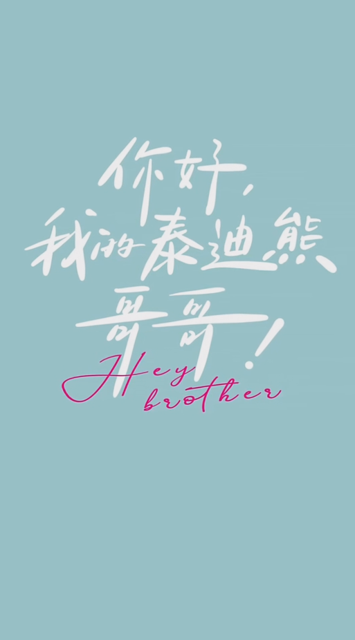 你好 我的泰迪熊哥哥海报