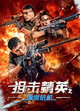 狙击精英之纳米危机海报