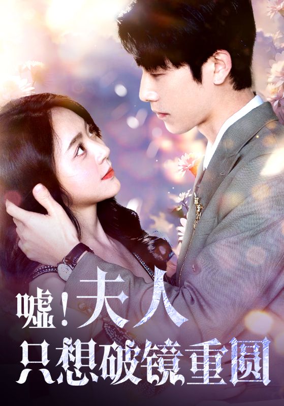 夫人只想破镜重圆海报