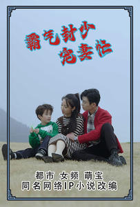 霸气封少宠妻忙海报