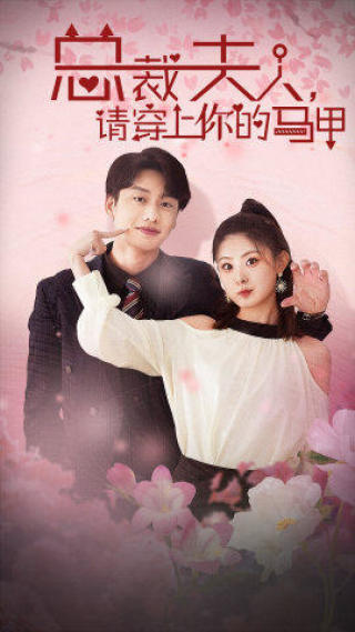 总裁夫人，请穿上你的马甲海报