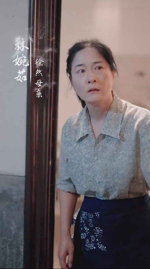 谁怜天下慈母心短剧海报