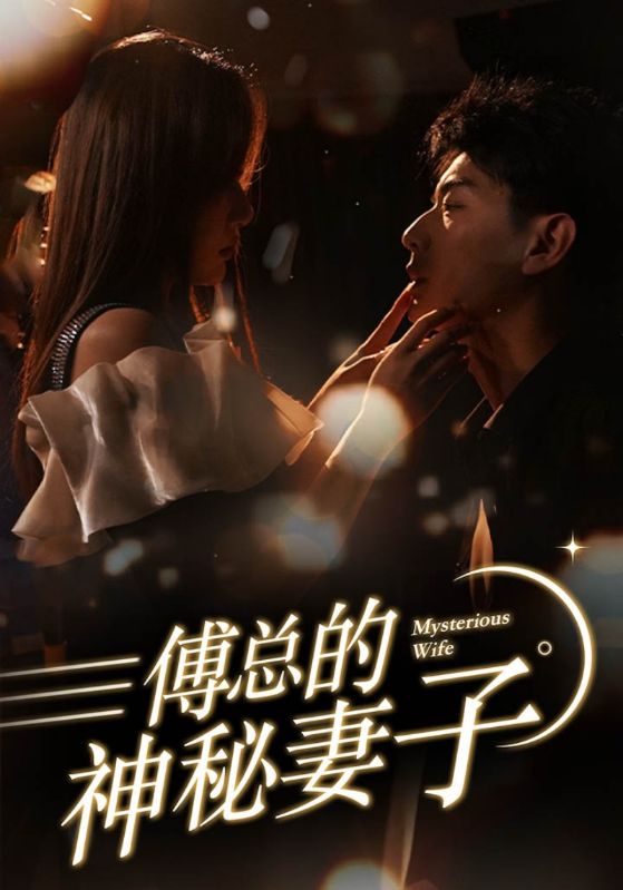 傅总的神秘妻子海报