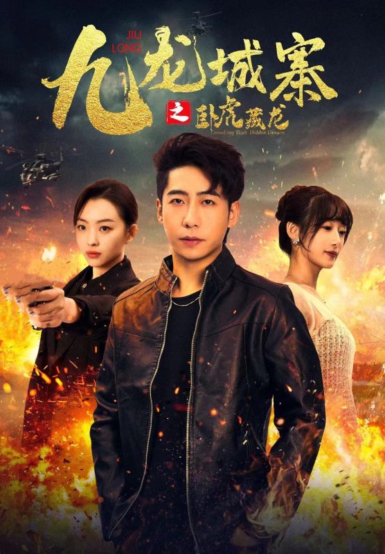 九龙城寨之卧虎藏龙海报