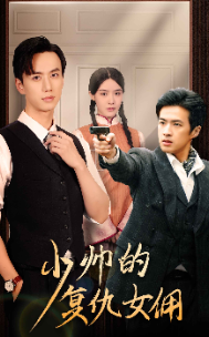 少帅的复仇女佣海报