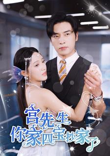 宫先生你家四宝抄家了海报