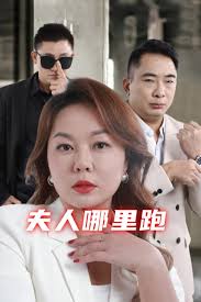 夫人哪里跑海报