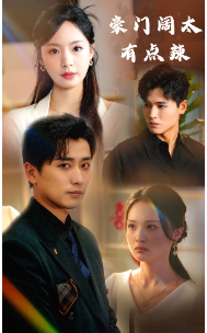 豪门阔太有点辣海报