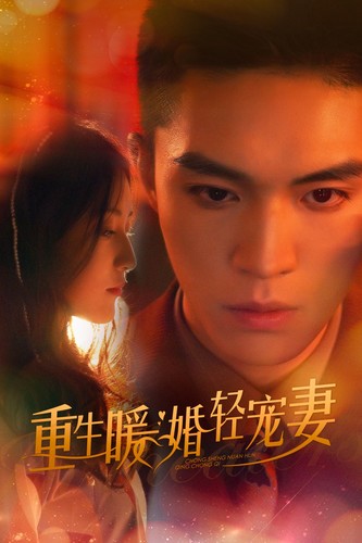 重生暖婚轻宠妻短剧海报