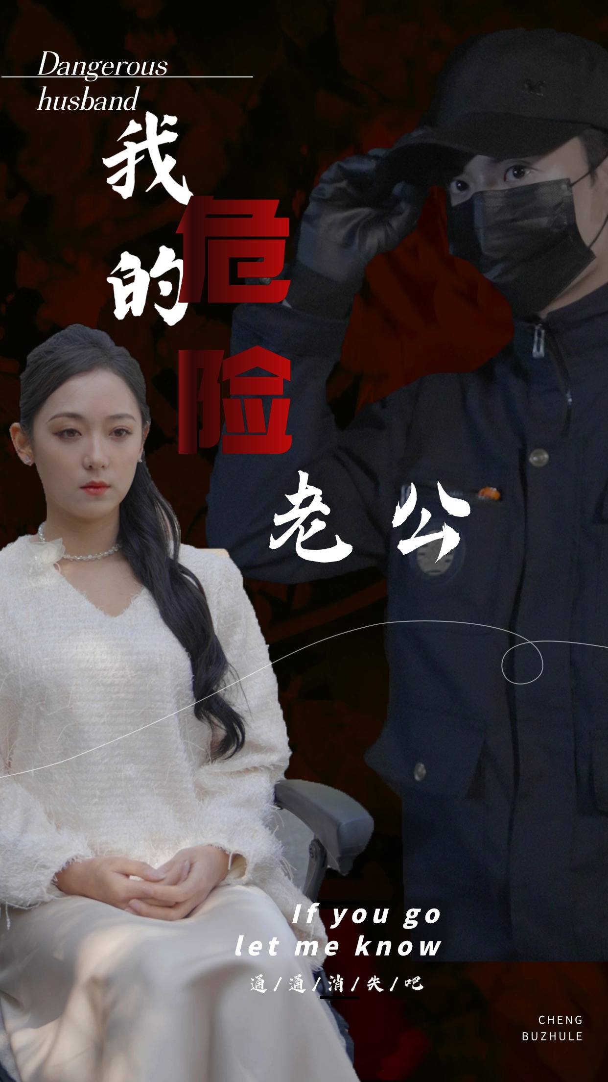 我的危险老公海报