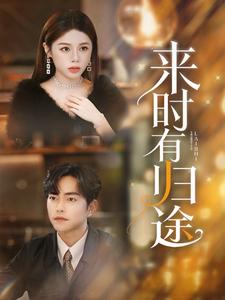 来时有归途海报