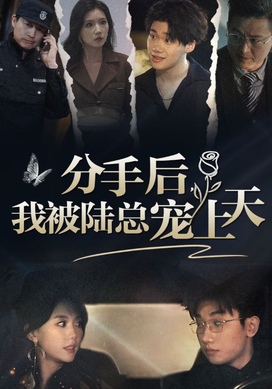 分手后，我被陆总宠上天海报