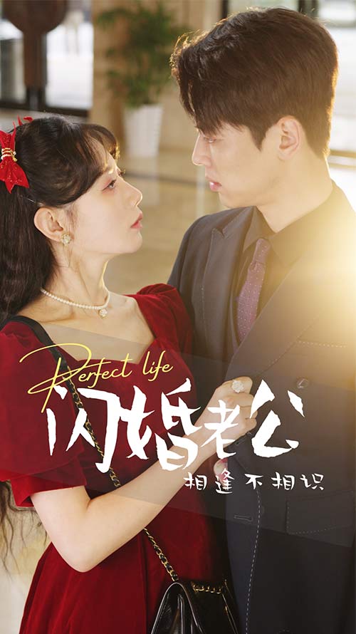 闪婚老公相逢不相识海报