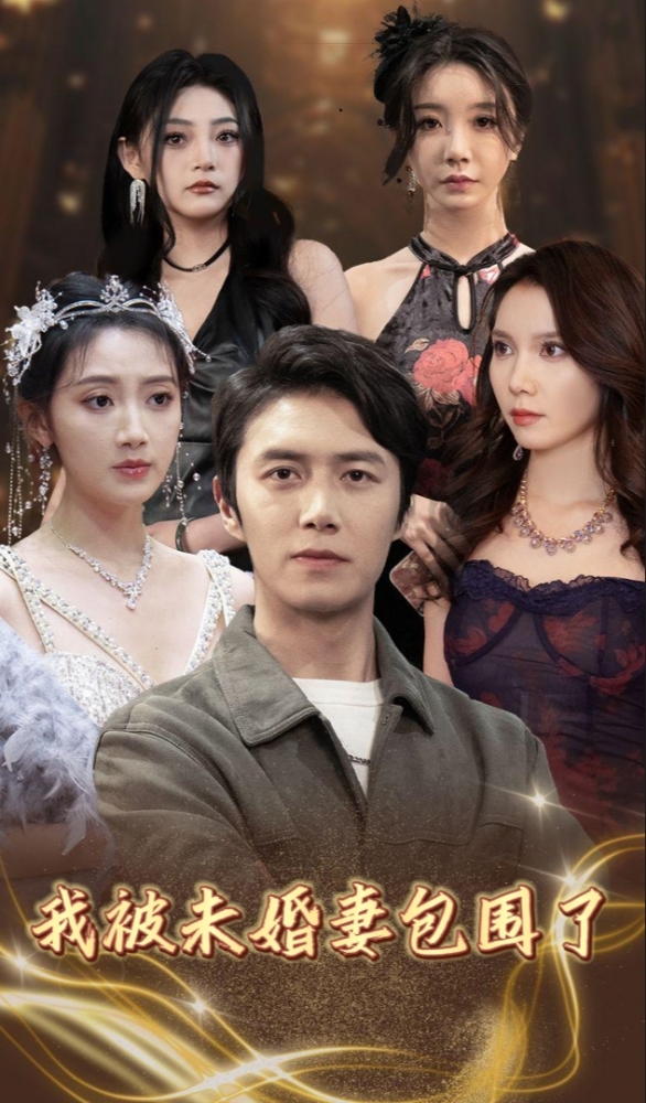 我被未婚妻包围了海报