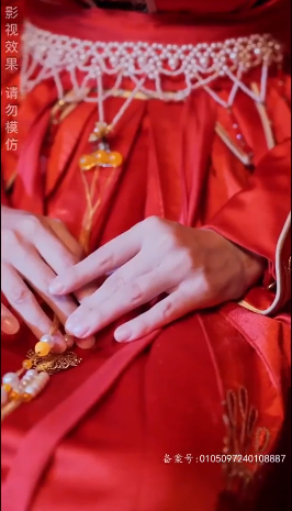 傅总的天降太子妃海报