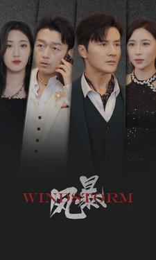 风暴 短剧版海报