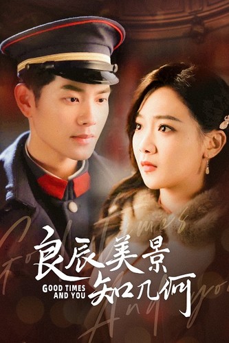 良辰美景知几何海报