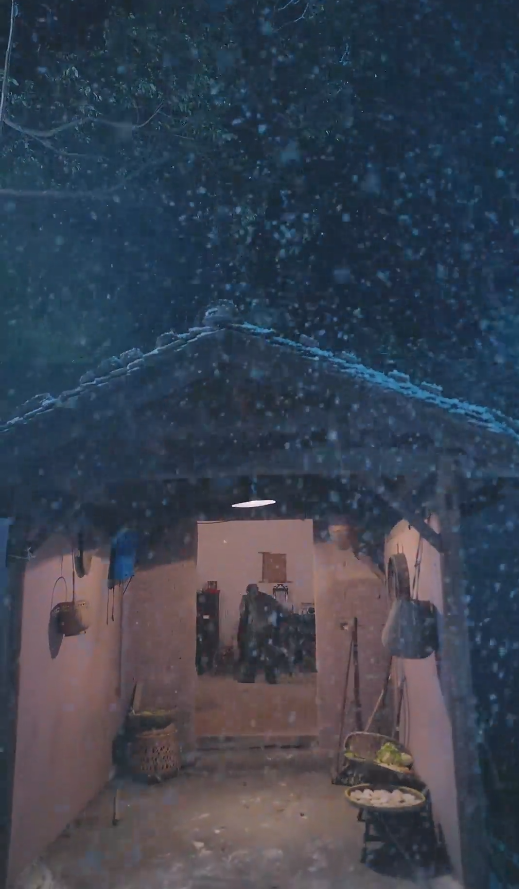 春雪落无声海报