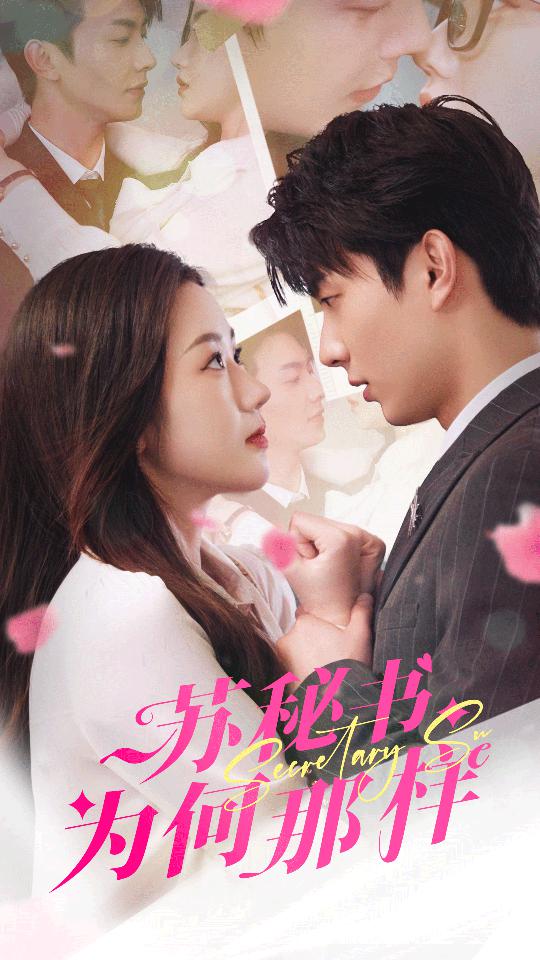 苏秘书为何那样海报