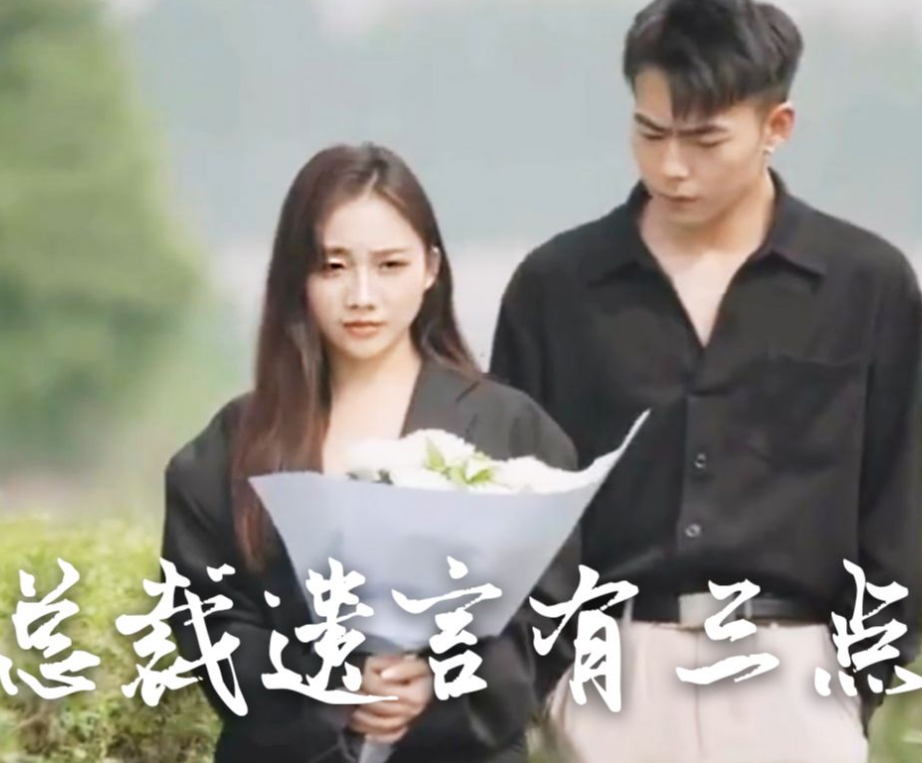 总裁遗言有3点海报