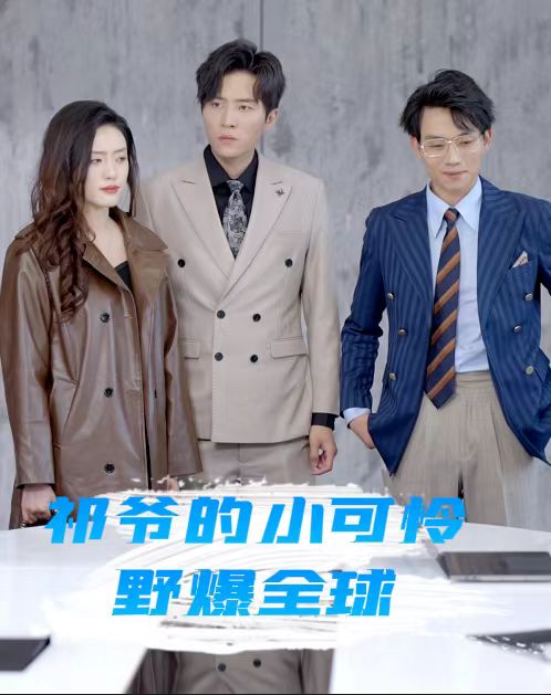 祁爷的小可怜野爆全球海报