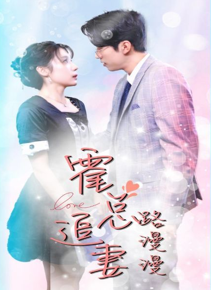 霍总追妻路漫漫海报