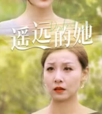 遥远的她海报