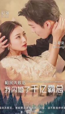 相亲失败,我闪婚了个千亿霸总海报