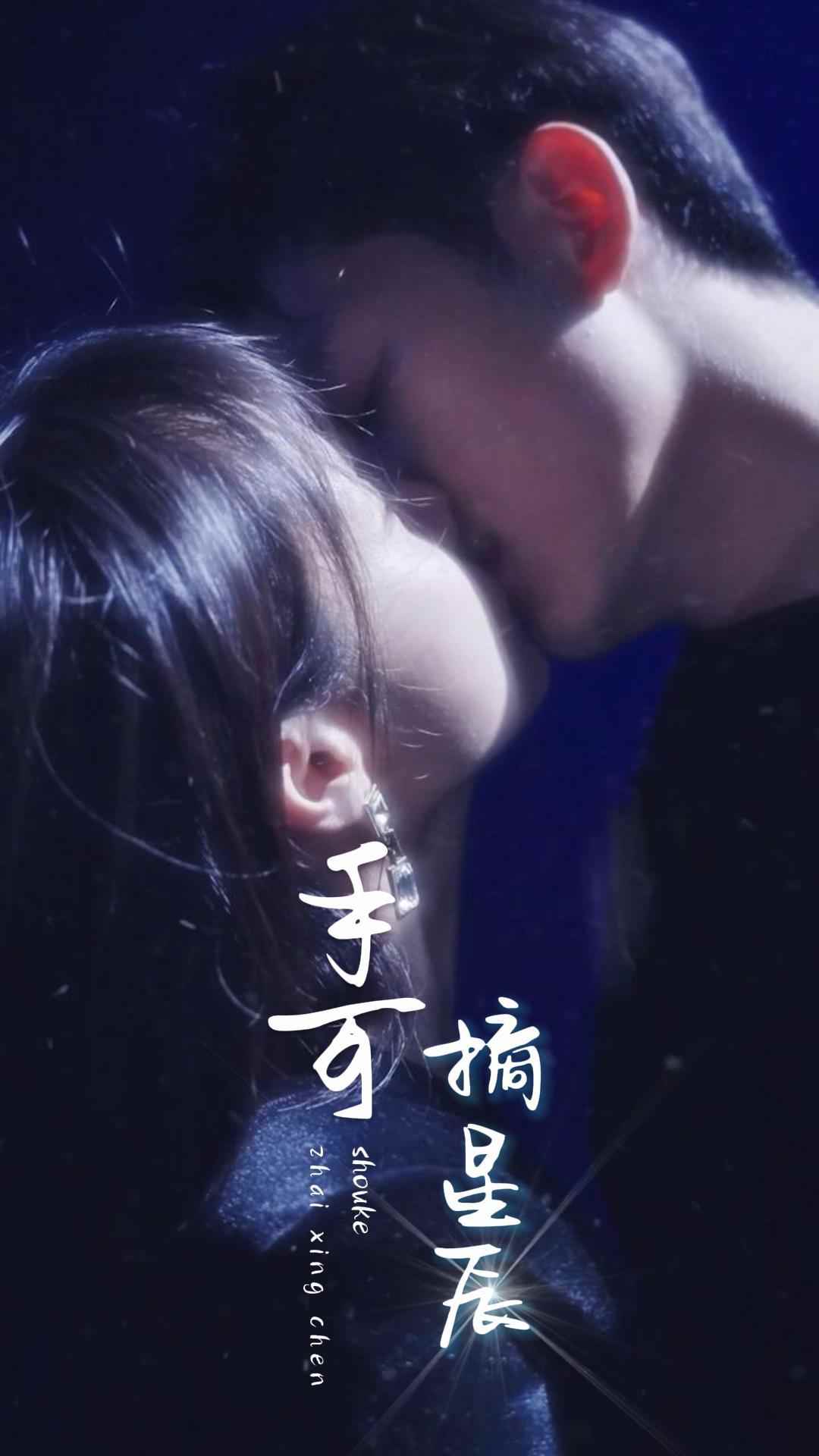 手可摘星辰2024海报