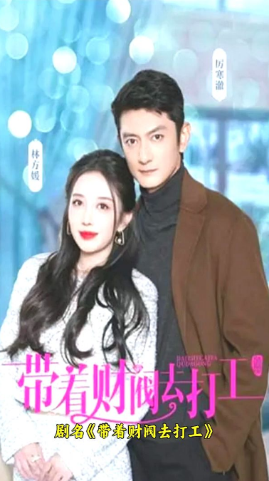 带着财阀去打工海报
