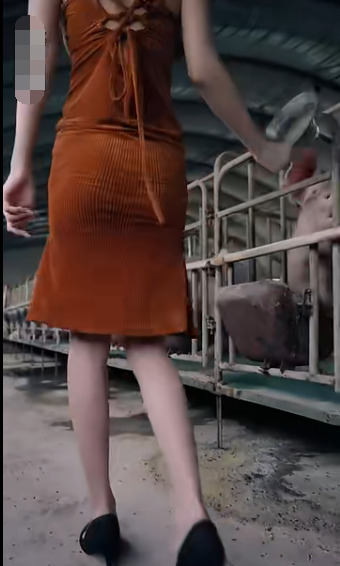 未来日记短剧海报