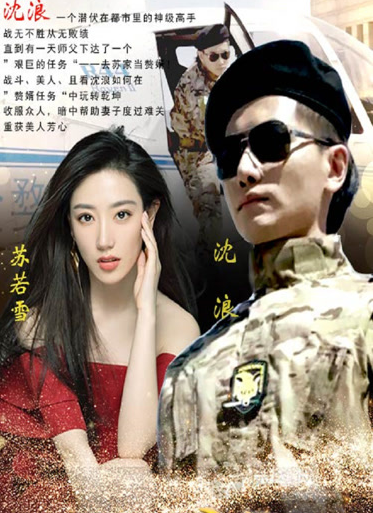 神级龙卫短剧海报