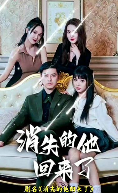 消失的他回来了海报