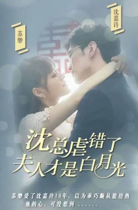 沈总虐错了，夫人才是白月光海报
