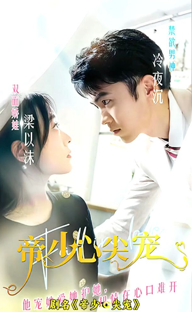 帝少心尖宠海报