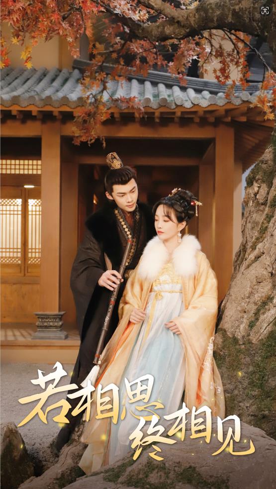 若相思，终相见海报